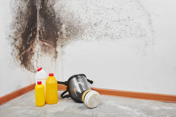 Best Mold Testing  in Star, NC