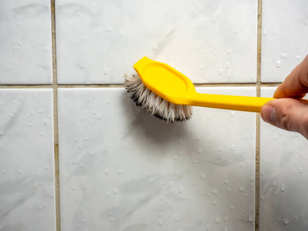 Best Black Mold Removal  in Star, NC