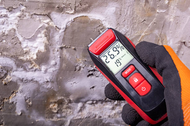  Star, NC Mold Removal Pros